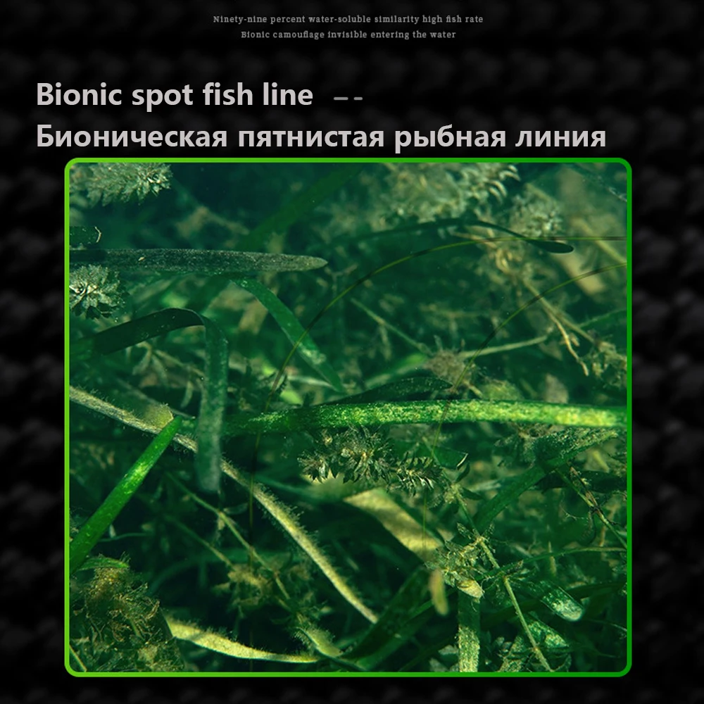 3000M Invisible Speckle Carp F - đánh giá và giá Ice Fishing Line